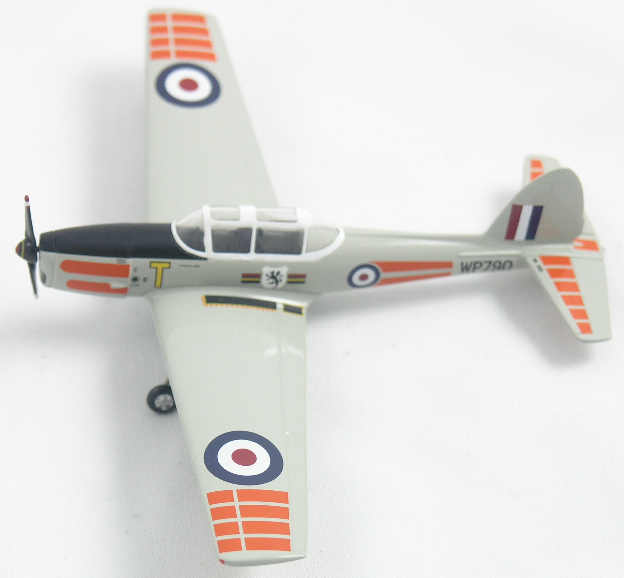 Chipmunk-AV72-21001-Top