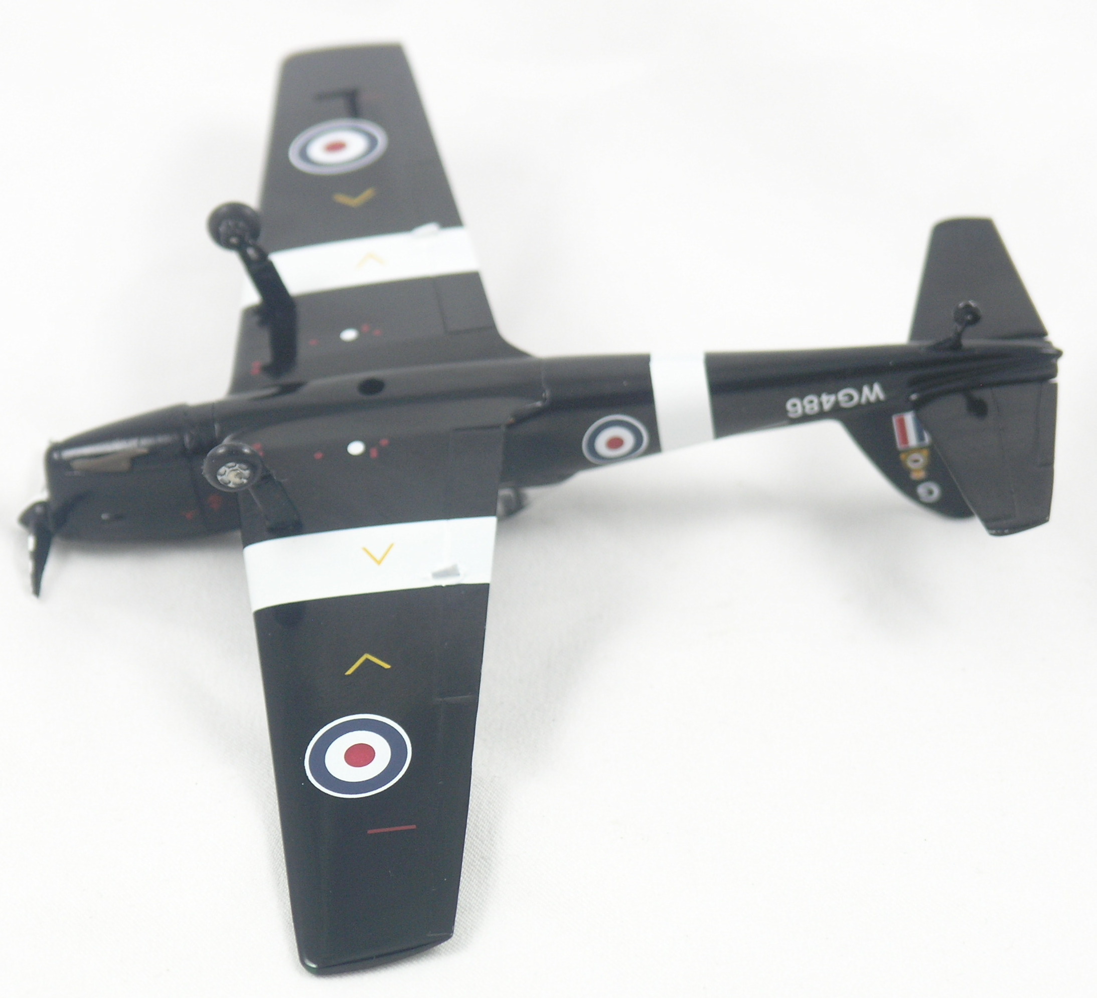 Chipmunk-AV72-21002-Bottom