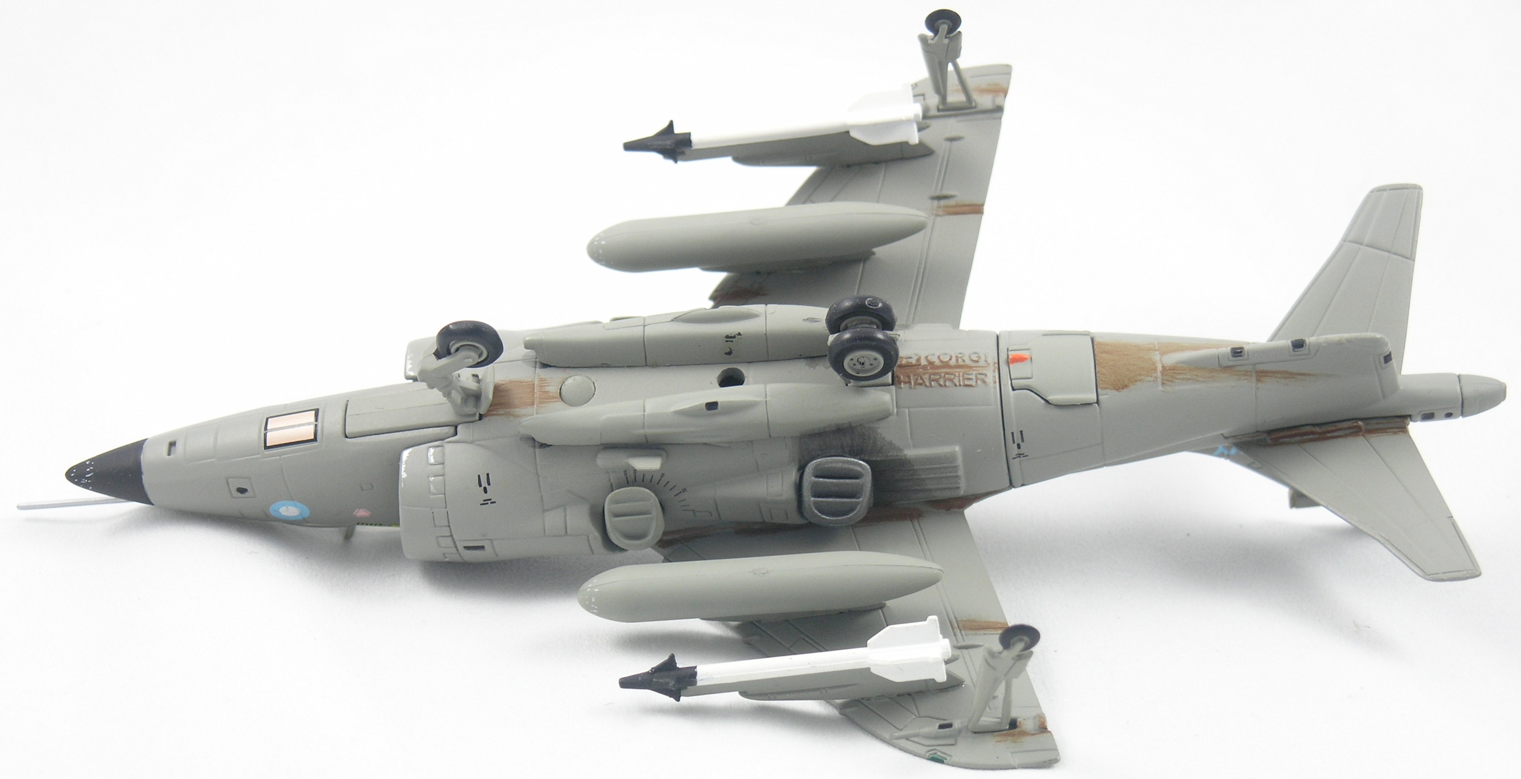 Harrier-AA32406-Bottom