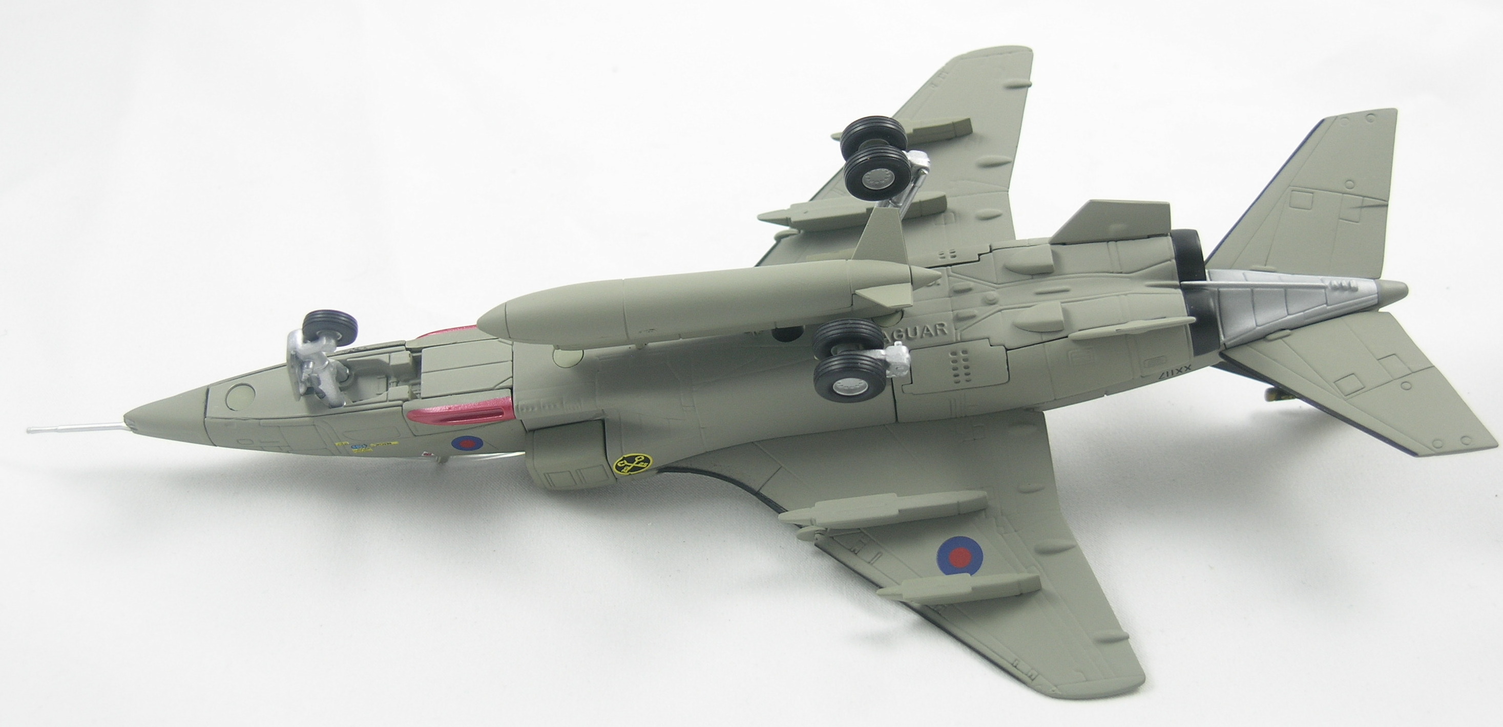 Jaguar-AA35403-Bottom